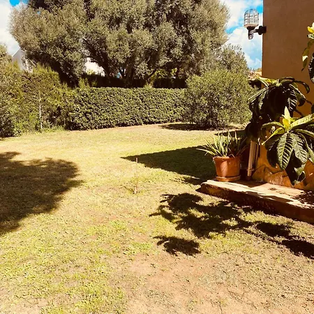 Casa Dos Calas Holiday home *