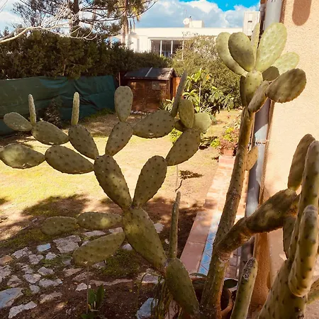 Casa Dos Calas Holiday home